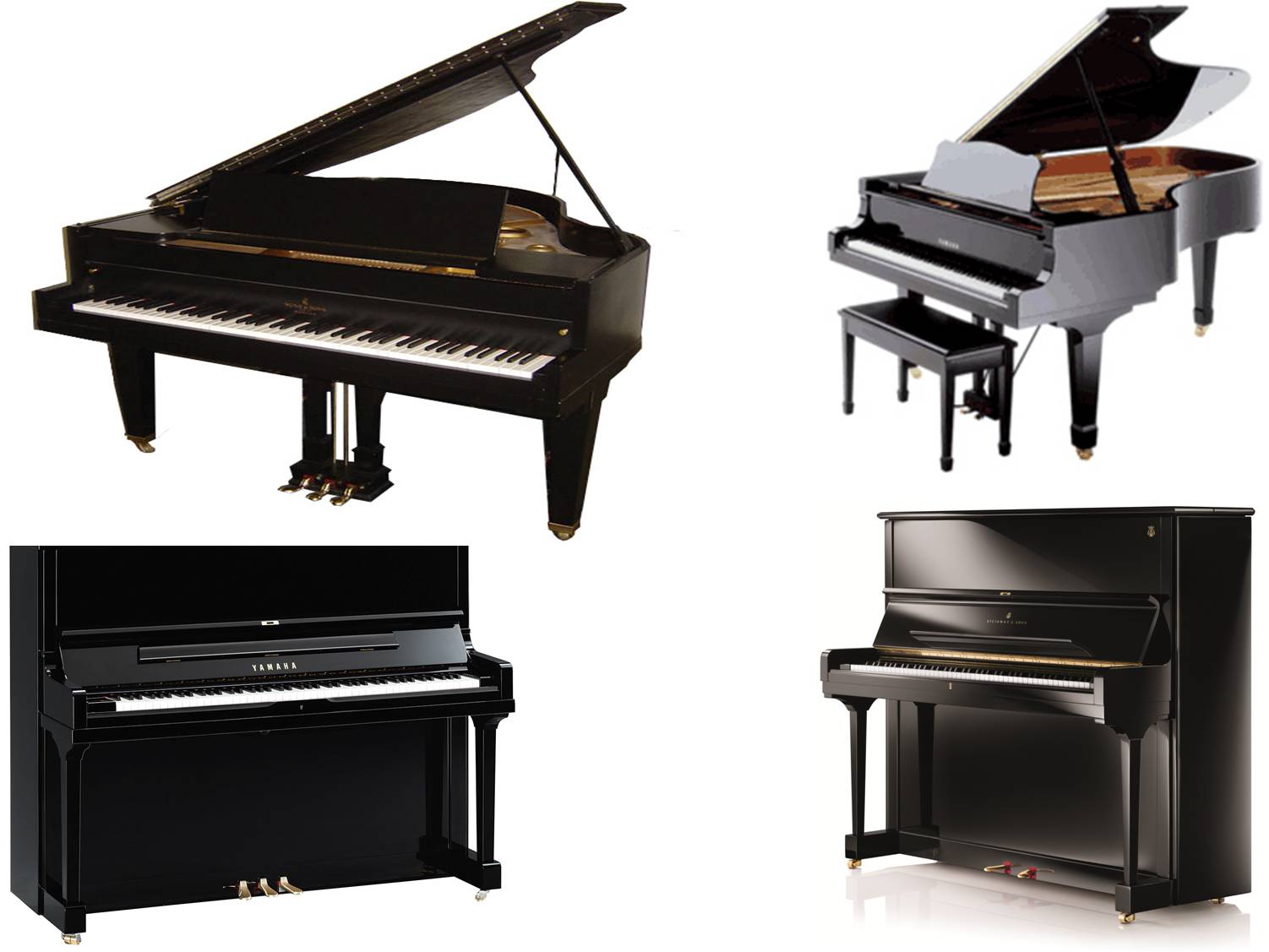 best piano on rent east-delhi